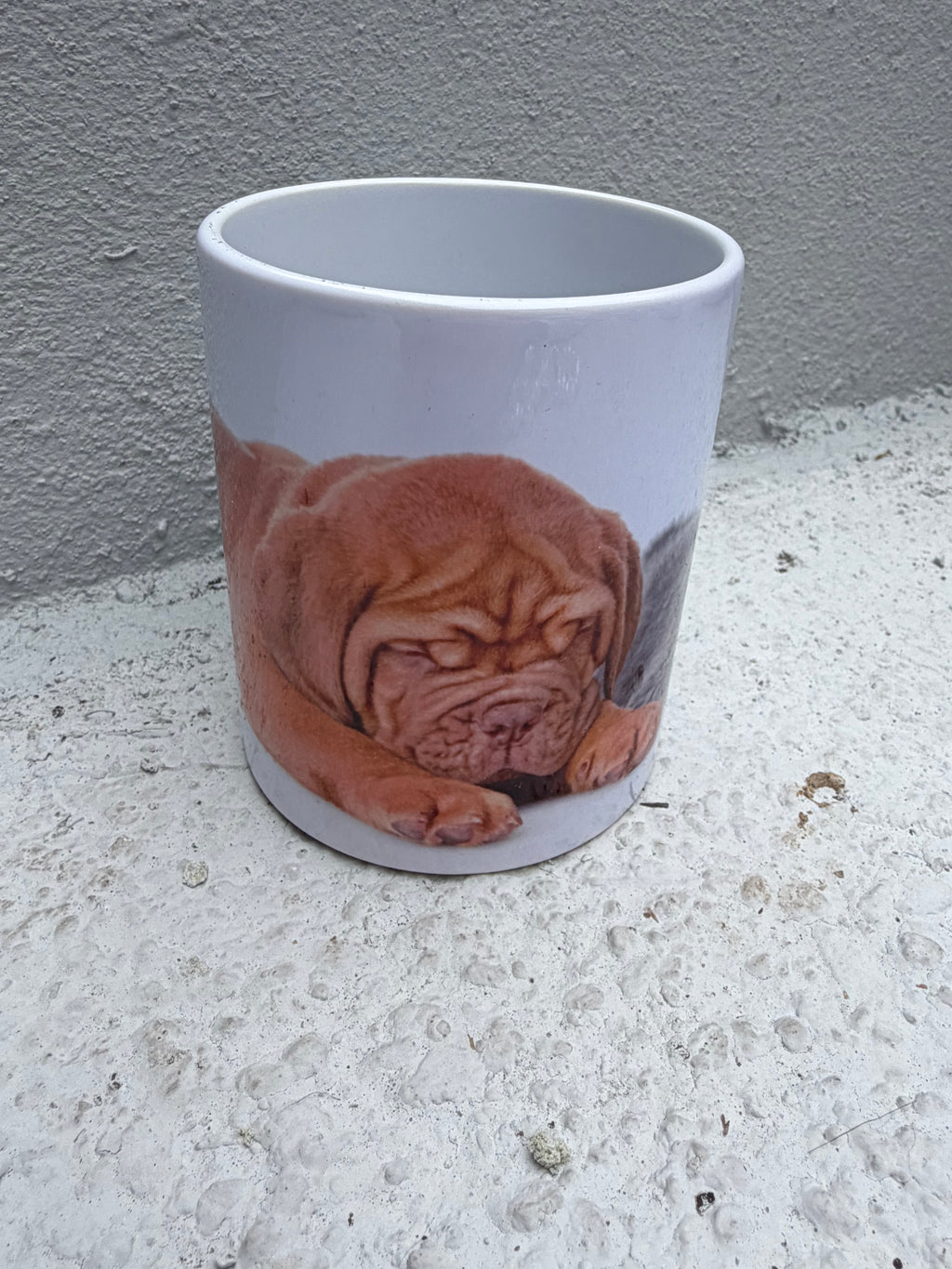 Adorable Sleeping Puppy & Kitten Mug – Pet Lover's Essential