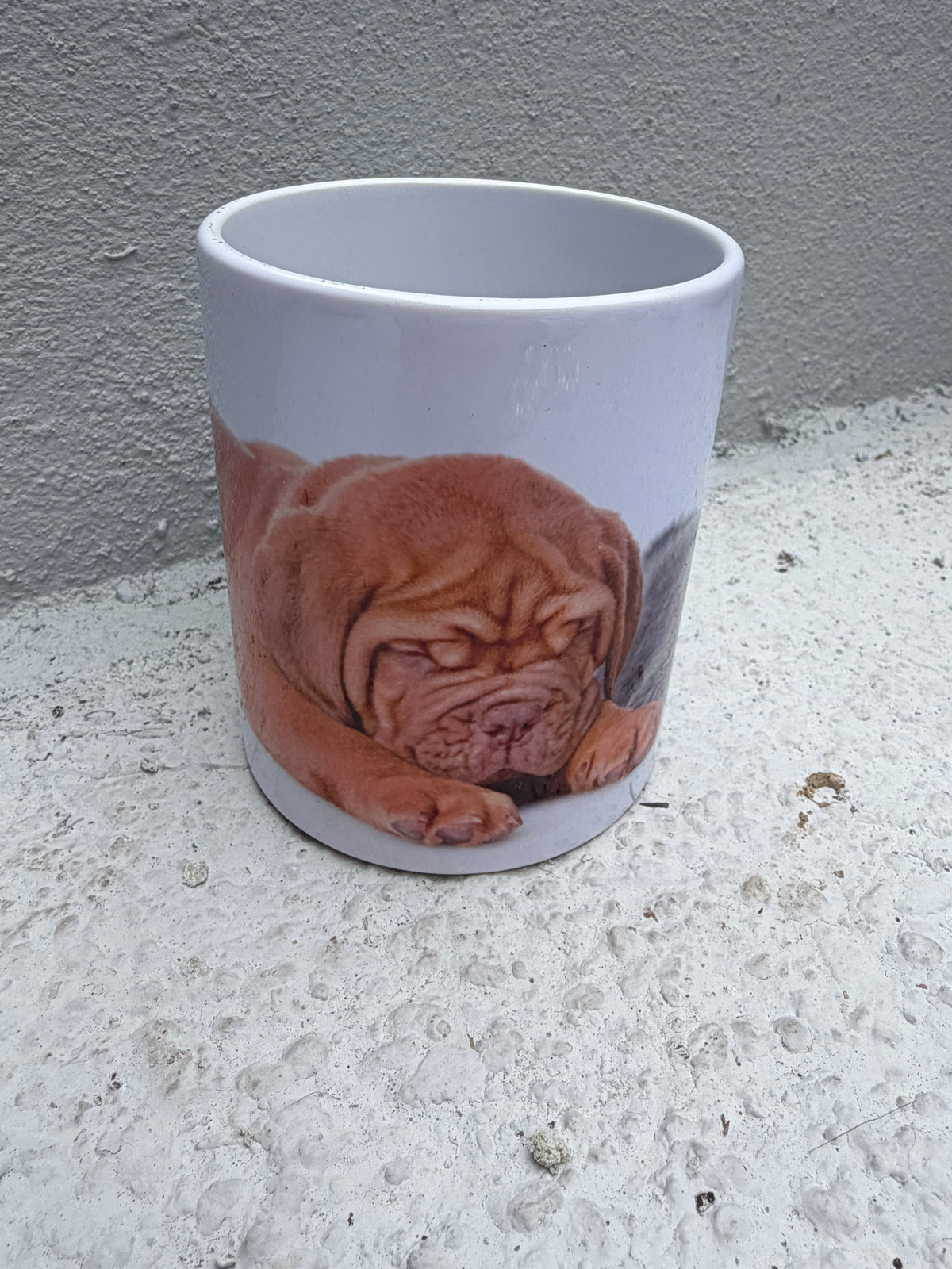 Adorable Sleeping Puppy & Kitten Mug – Pet Lover's Essential