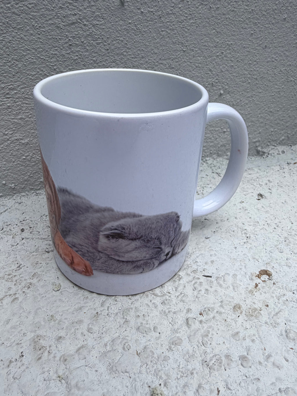 Adorable Sleeping Puppy & Kitten Mug – Pet Lover's Essential