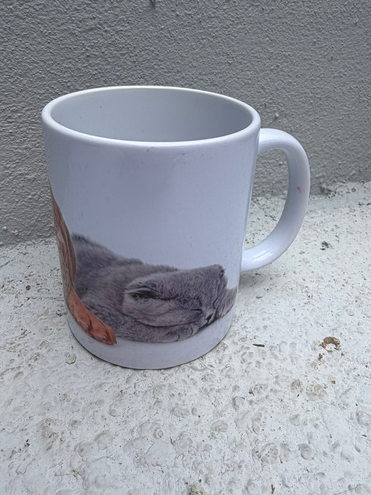 Adorable Sleeping Puppy & Kitten Mug – Pet Lover's Essential